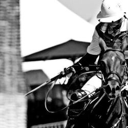 POLO_004
