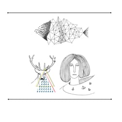 illustrations