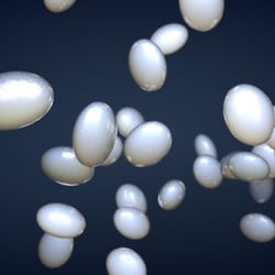 visualisierung von nanosilber