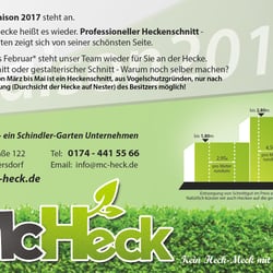 McHeck Flyer