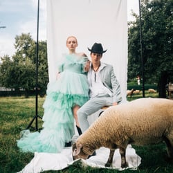 sheep