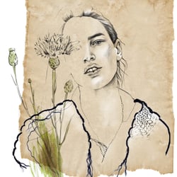 helianthus
