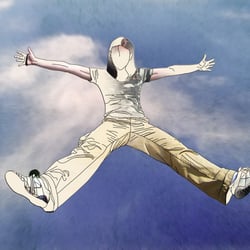 Fly