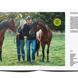 Konzeption und Layout
