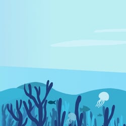 Meer