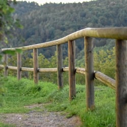 Der Weg