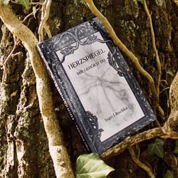 Buchcover – Herzspiegel von Ingo Litschka