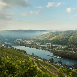 Weingut Schier