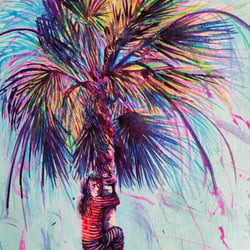 Lost on a palm