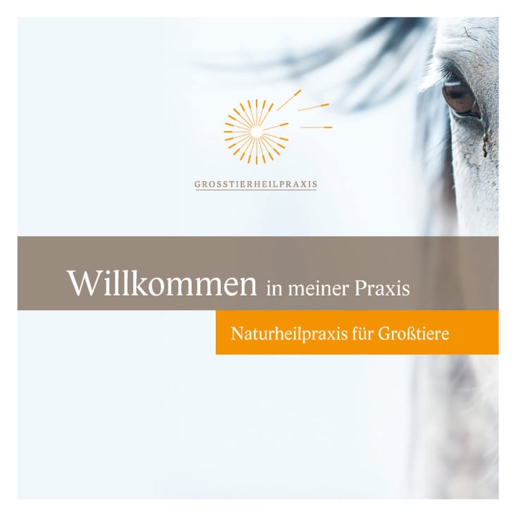 Flyer geschlossen