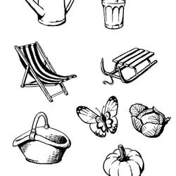 Illustration für das Kochbuch „Back to the Wurzeln“ – Kailash Verlag / Random House