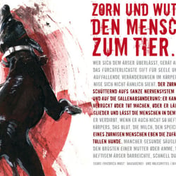 Zorn