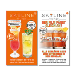 Flyer skyline 19