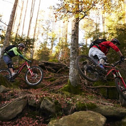 Biking 08