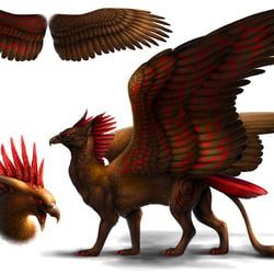 Krawsire Gryphon Design