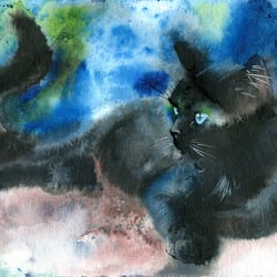 Katzenportrait – Aquarell