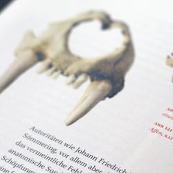 Goethe-Nationalmuseum Buch