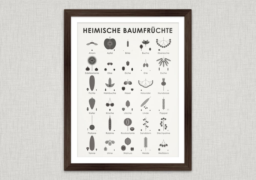 Heimische Baumfrüchte
