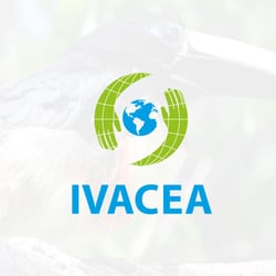 ivacea0