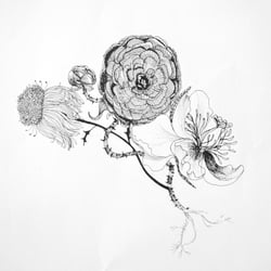 Imaginarium Flora