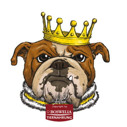 MY DOG IS MY KING!