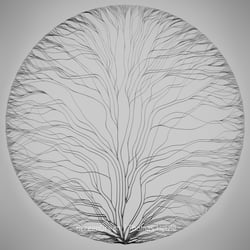 Directed Growth