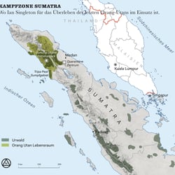 Kartografie