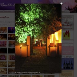 Bildergalerie (Grosse Ansicht)