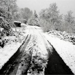 Schneegestöber 1690673k