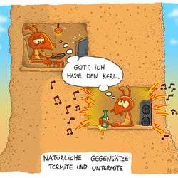 Termiten2023