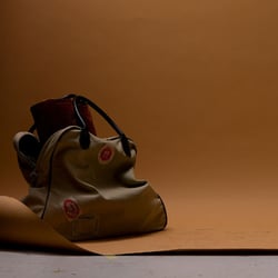 R L3869