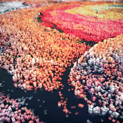 Particle City