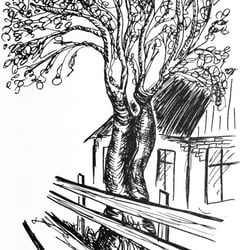 Illustration