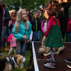 Kleines Fest Bad Pyrmont