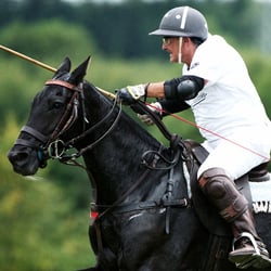 POLO_16