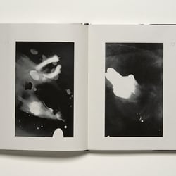 DEMENS BOOK 3