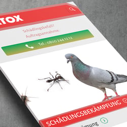 Weitere Bilder auf unserer Webseite