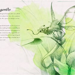 Dragonfly