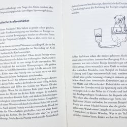 die hydraulische Kraftverstärker der Faszie
