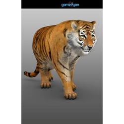 3d Tiger Tierfiguren Modellierung