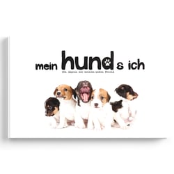 PB Hundealbum