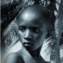 Baobab Family Foundation – Corporate Design und Konzept einer Stiftungsgründung