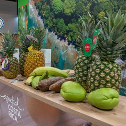 Messestand Fotografie