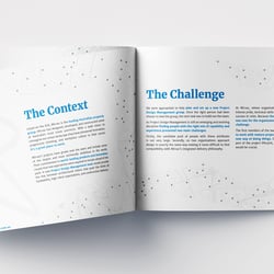 Rise Consulting Sydney