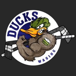 „Waging Ducks“, Eishockey-Verein