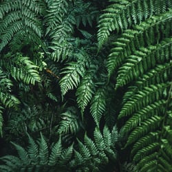 Wander Content Creation Madeira