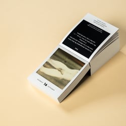Photodarium Private 2017
