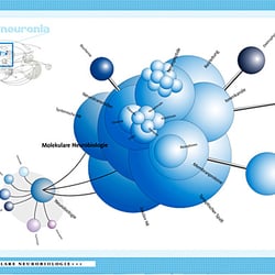 Nexus Neuronia – Contentmap