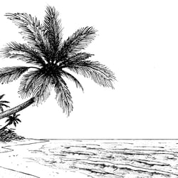Shore