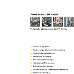 Prozess-Sicherheit Deutsch Seite 1